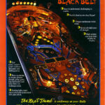 Black Belt image 9