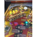 Card Whiz Pinball Machine Ellenton 4