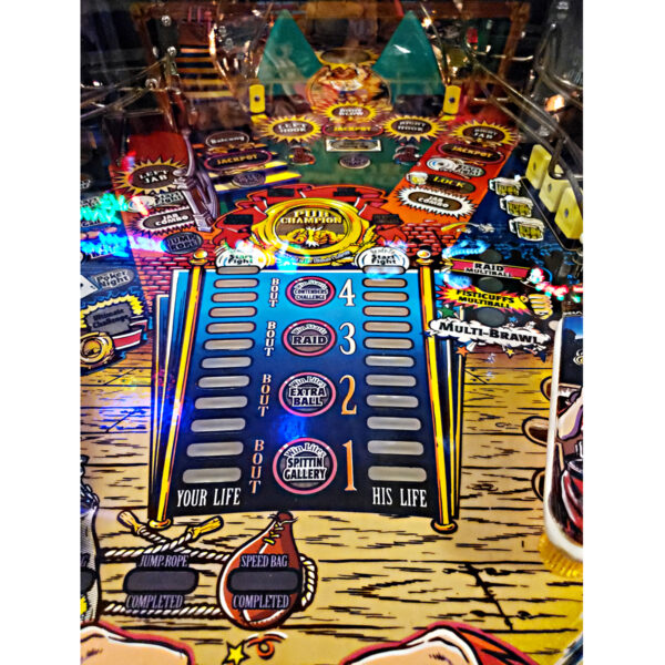 Champion Pub Pinball Machine Tampa