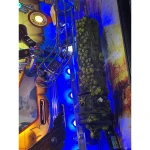 Pirates of the Caribbean Pinball Ellenton 3