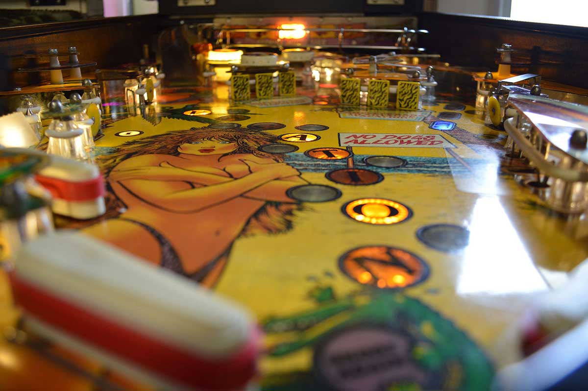 Spring Break Pinball Machine Elite Home Gamerooms
