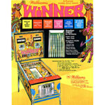Winner Pinball Machine