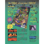 Batman Forever Pinball Flyer 2