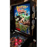 Vacation America Pinball Machine
