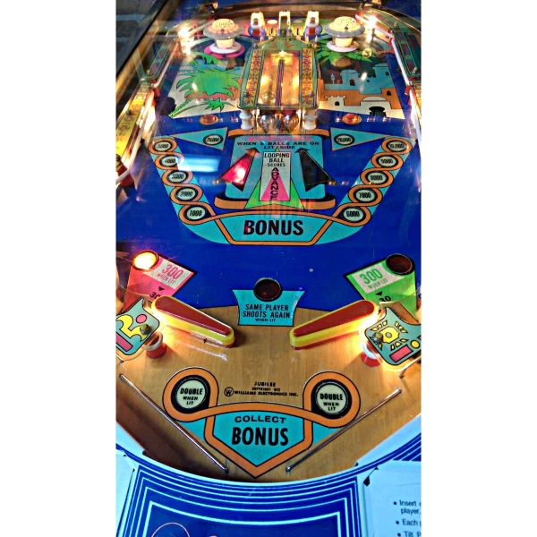 Darling Pinball Machine by Williams
