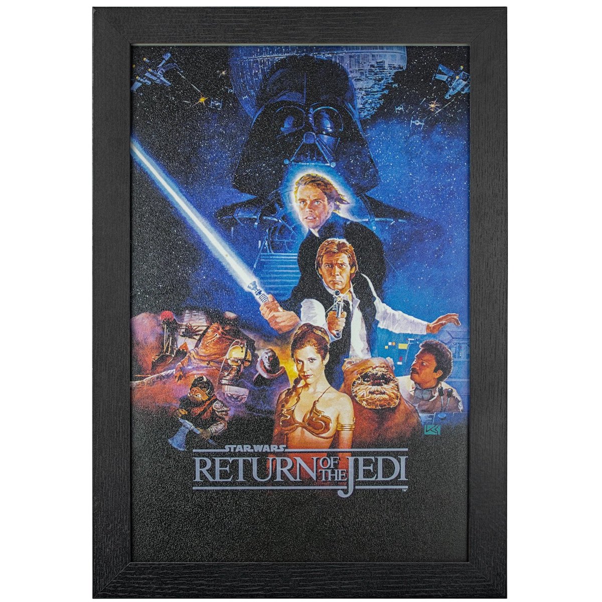 Star wars return of the jedi Canvas Wall Art Picture Print ~ VARIOUS SIZES 