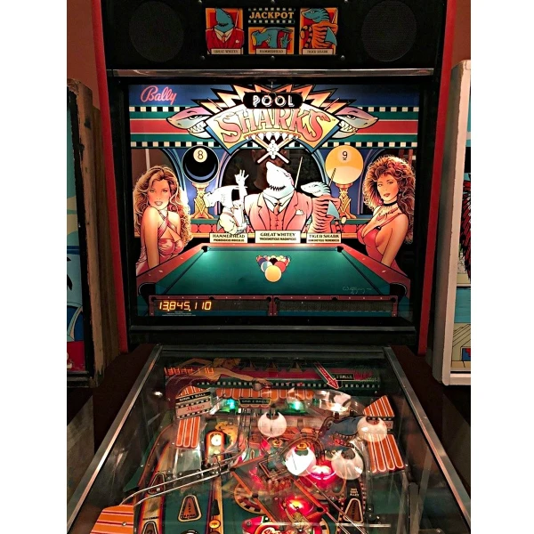 Pool Sharks Pinball Machine