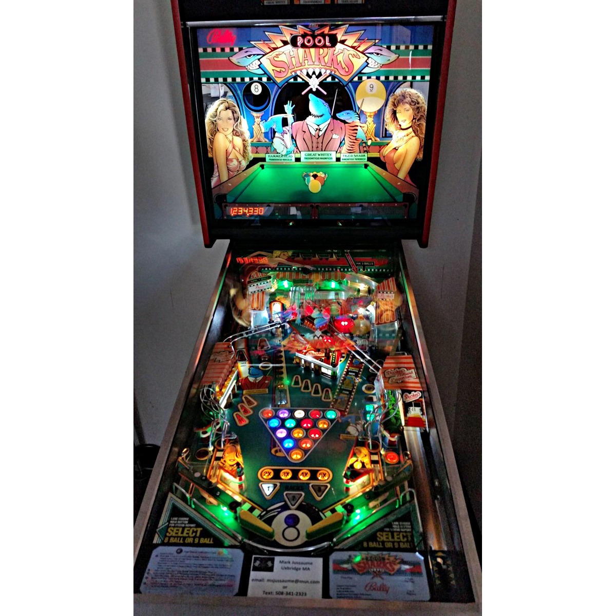 Pool Sharks Pinball Machine Elite Home Gamerooms
