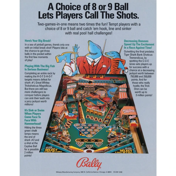 Pool Sharks Pinball Machine Flyer 2