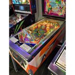 Doozie Pinball Machine For Sale Tampa 4