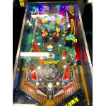 Cue Ball Wizard Pinball