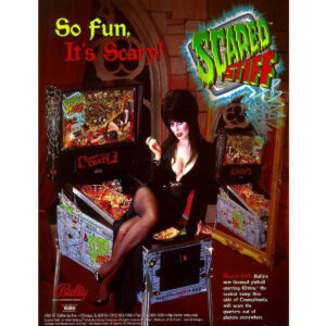 Scared Stiff Pinball Machine Flyer 1 300x300 - Home