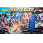 Playboy 35th Anniversary Pinball Machine 2
