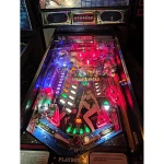 Playboy 35th Anniversary Pinball Machine
