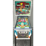 Aladdin’s Castle Pinball Machine 1