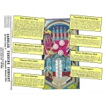 Aladdin's Castle Pinball Machine