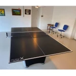 PureX Ping Pong Conversion Top 1