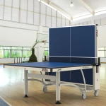 Peter Karlsson Competition Indoor Table Tennis Table 2