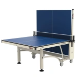 Peter Karlsson Competition Indoor Table Tennis Table 3