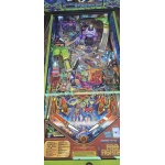 Foo Fighters Limited Edition Pinball Lutz 5