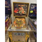 Lost World Pinball Machine Estero 2