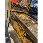 Lost World Pinball Machine Estero 5