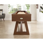 Aiden Shuffleboard-7