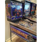 Cybernaut Pinball Machine 3