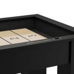 fulton_shuffleboard_image_5